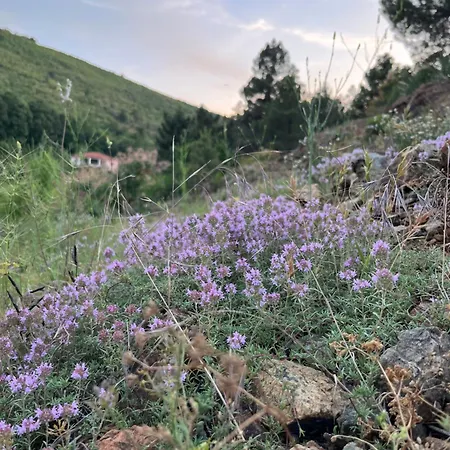 Lugina *