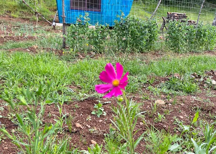 Lugina Campingplads *