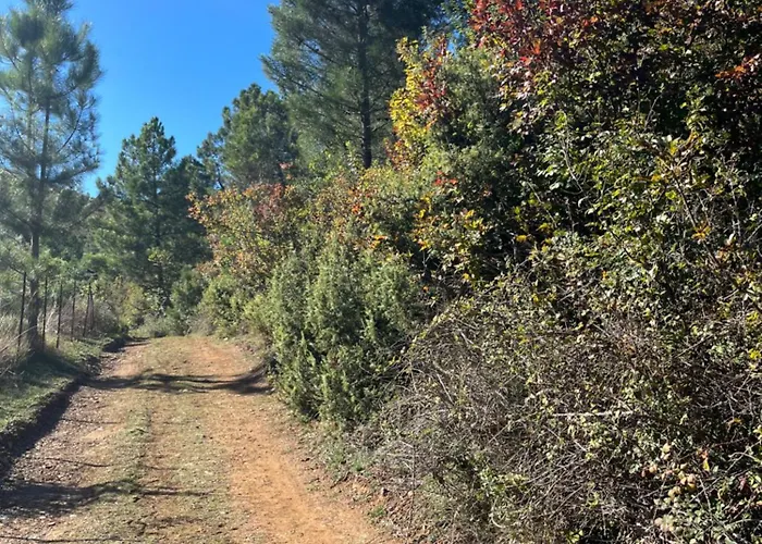 Lugina * Fushe-Buall